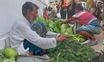 করলার কেজি ৭ টাকা!