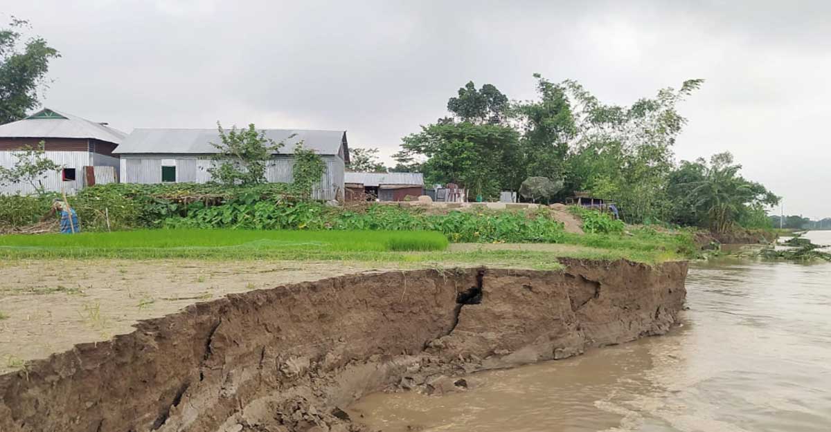 জামালপুরে ব্রহ্মপুত্রের পানি বাড়ছে, ভাঙনের ঝুঁকিতে শতবর্ষী বাজার-স্থাপনা